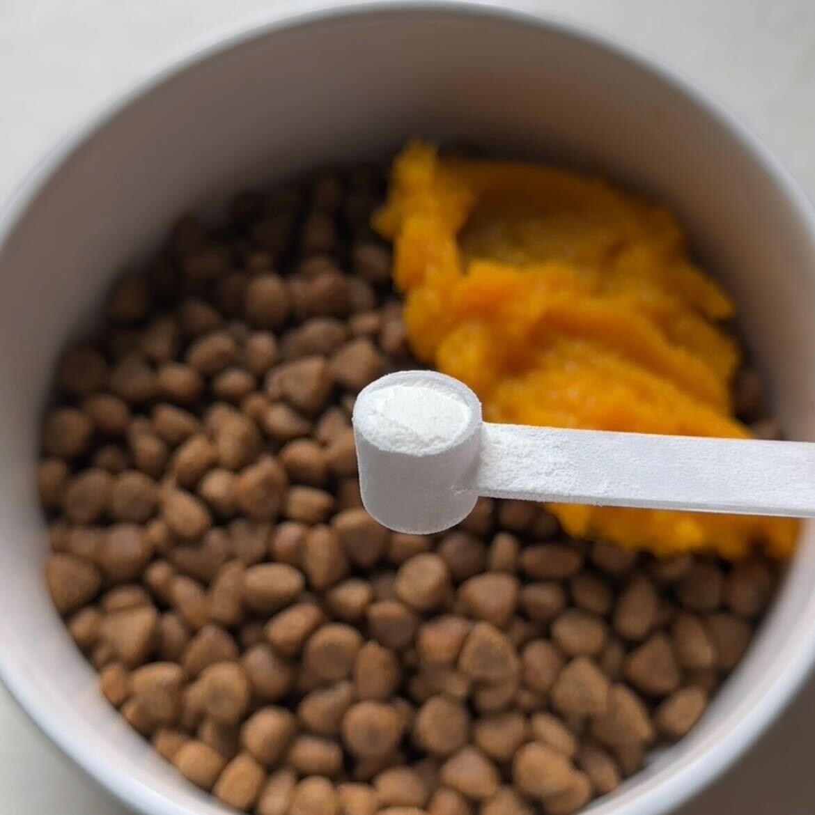 Probiotics For Dogs