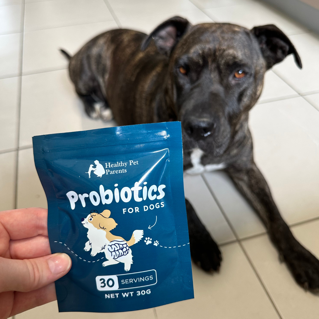 Probiotics For Dogs