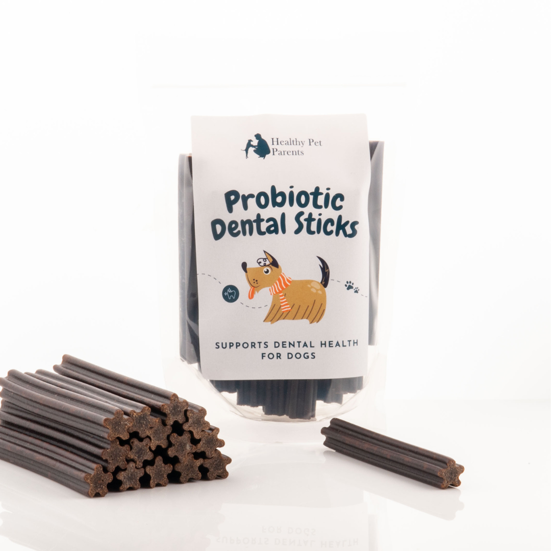 Probiotic Dental Chew