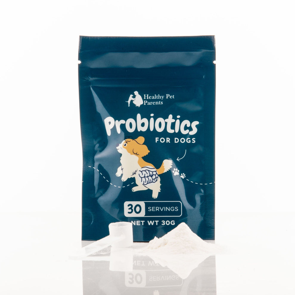 probiotics for dogs Healthy Pet Parents